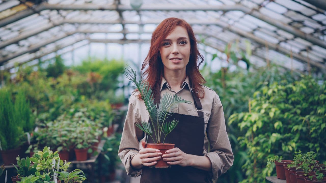 Plant Store Website demo website
